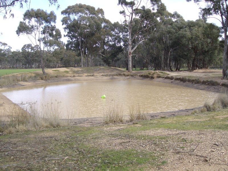 164 Alma Moonlight Road, Maryborough VIC 3465