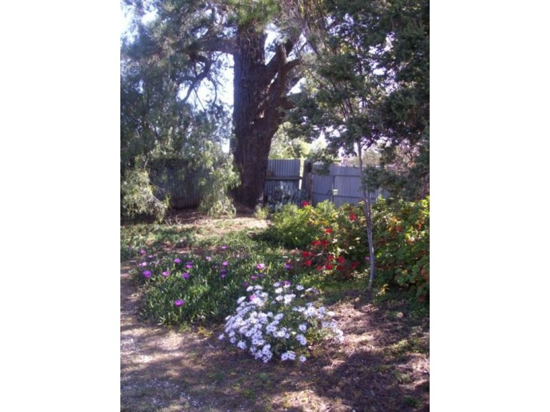 39 Wills Street, Maryborough VIC 3465