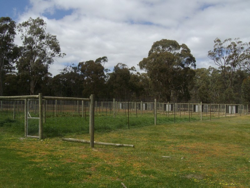 540 Lillicur Road, Lillicur VIC 3371