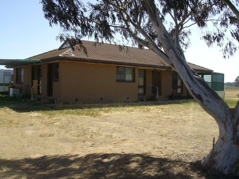 261 Adelaide Lead- Alma Road Road, Alma VIC 3465