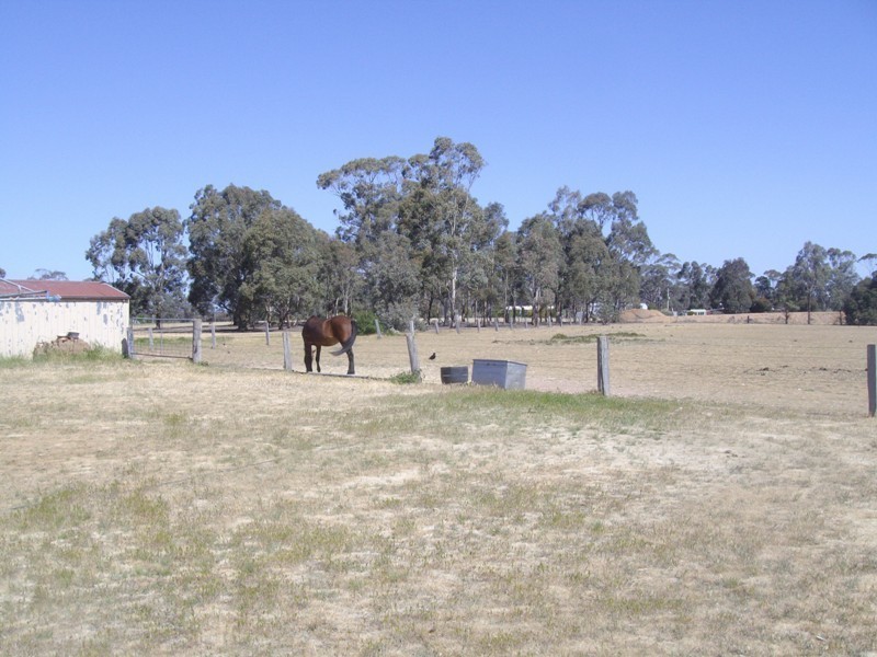 261 Adelaide Lead- Alma Road Road, Alma VIC 3465