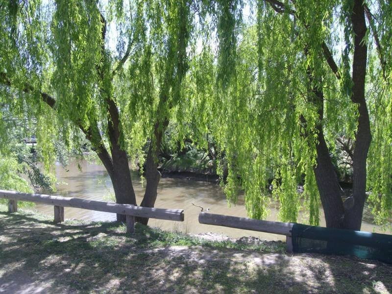 46 Desmond Street, Dunolly VIC 3472