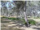 Lot / 12 Ramon Parade, Laanecoorie VIC 3463