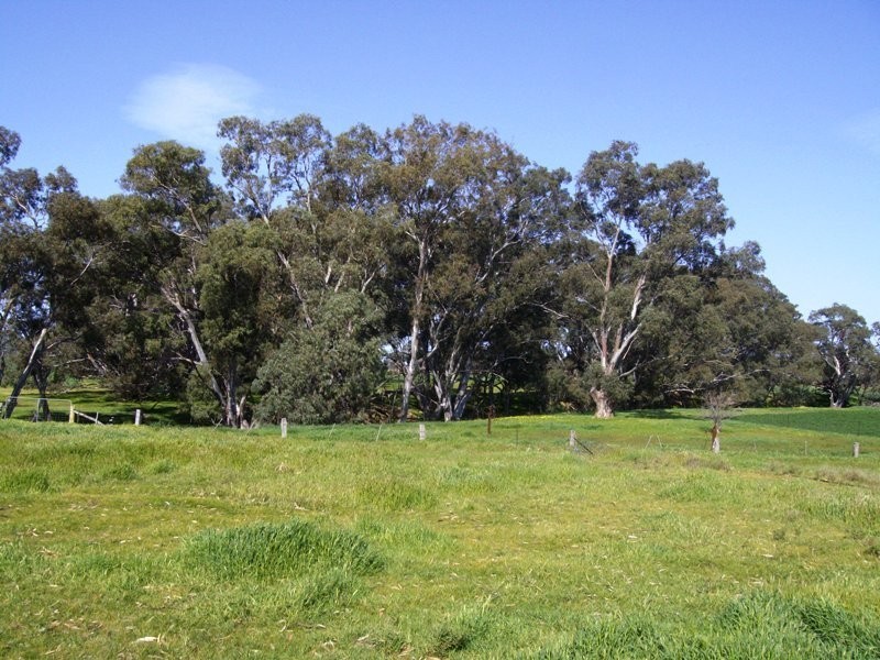 512 Norwood Road, Wareek VIC 3465