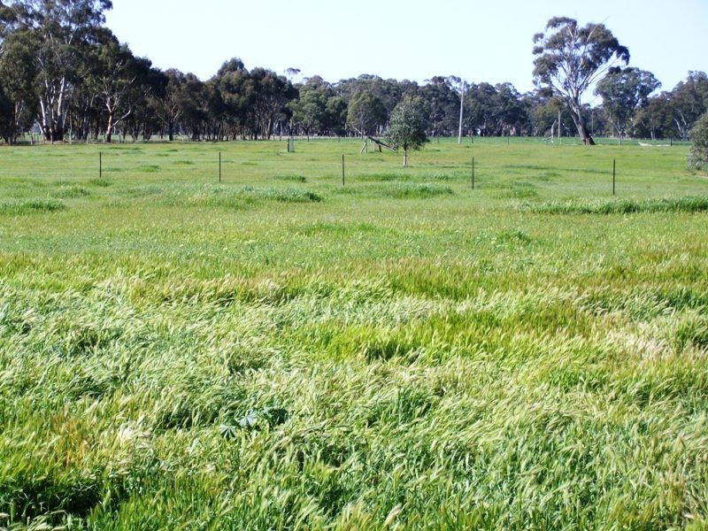 512 Norwood Road, Wareek VIC 3465