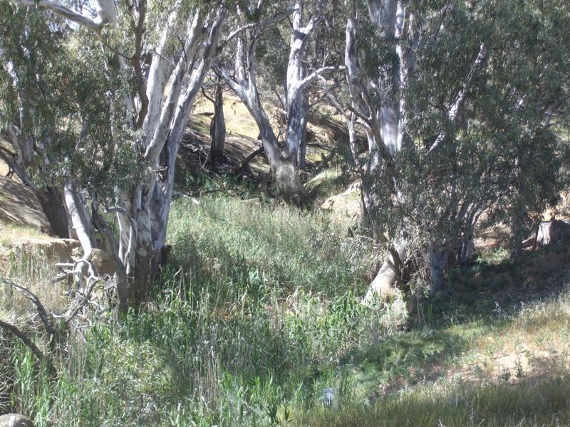 512 Norwood Road, Wareek VIC 3465