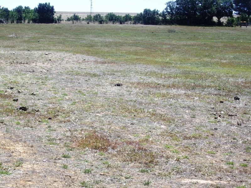 468 Porteous Road, Wareek VIC 3465