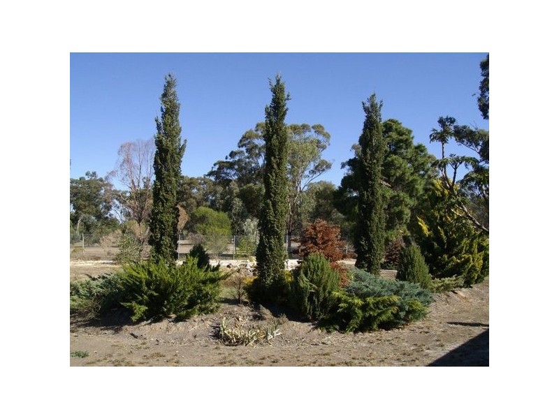 25 Rowles Drive, Maryborough VIC 3465