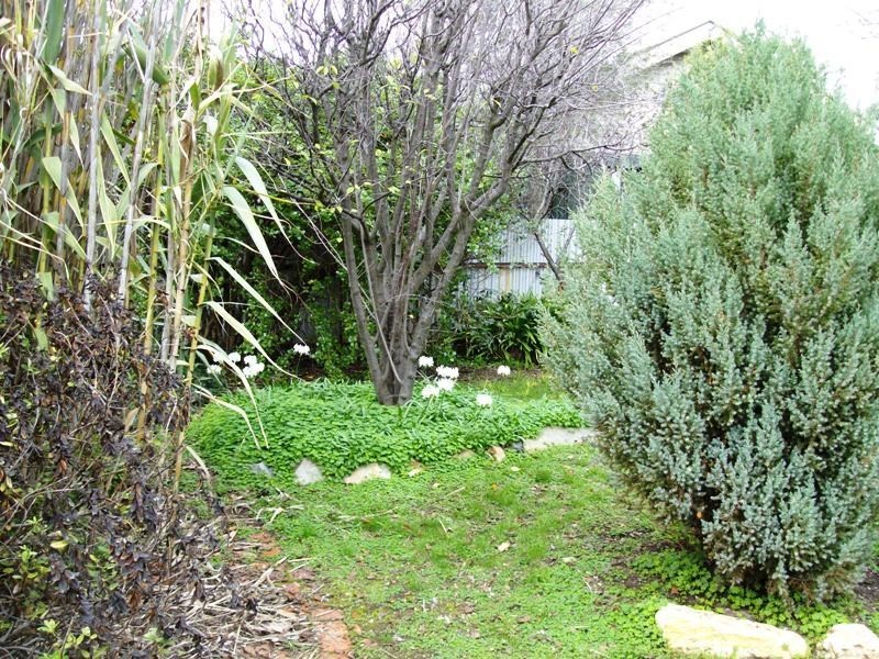 39 Wills Street, Maryborough VIC 3465