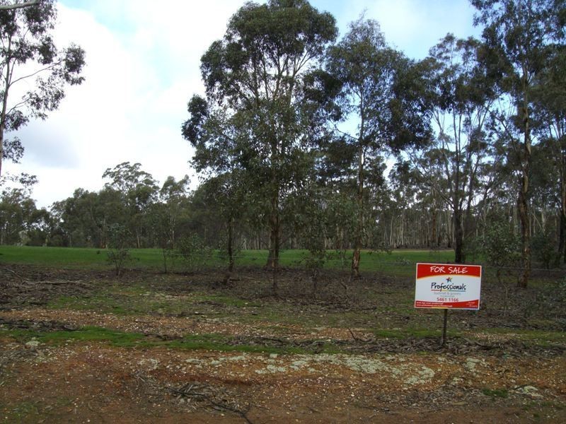 38 Wanlace Road, Majorca VIC 3465