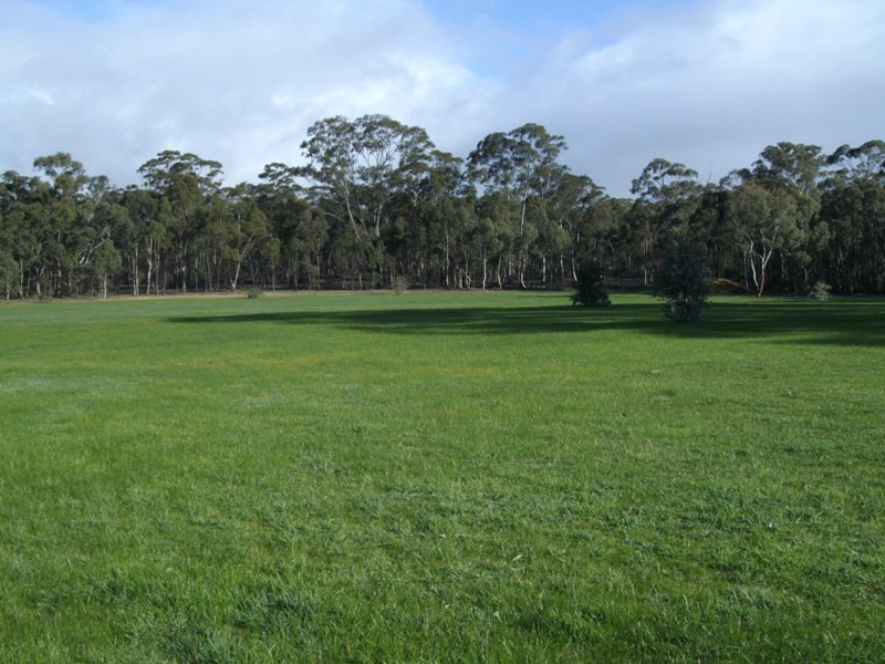 38 Wanlace Road, Majorca VIC 3465