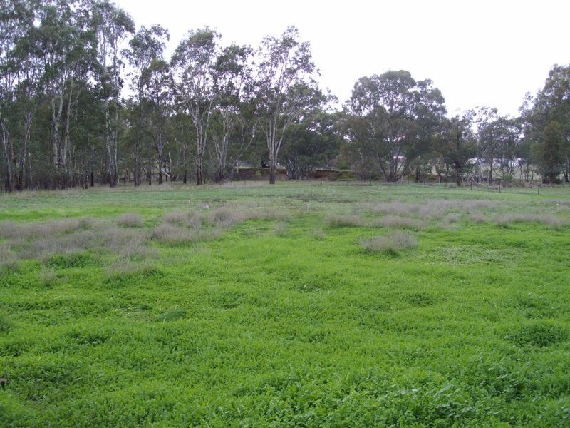 1802 Dunolly-maryborough Road, Dunolly VIC 3472