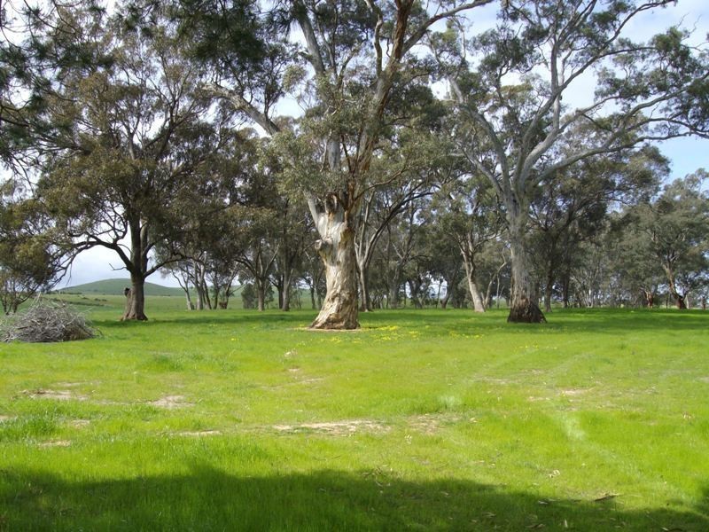 4940 Ballarat-maryborough Road, Talbot VIC 3371