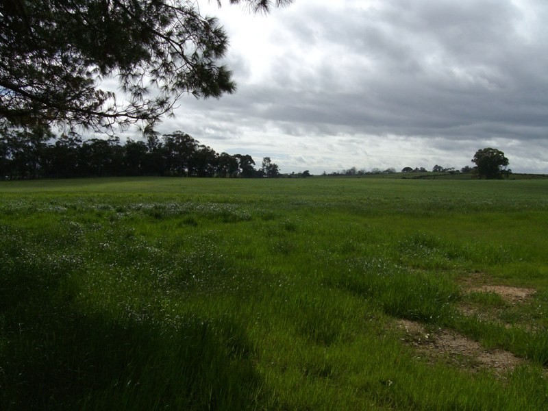 4940 Ballarat-maryborough Road, Talbot VIC 3371