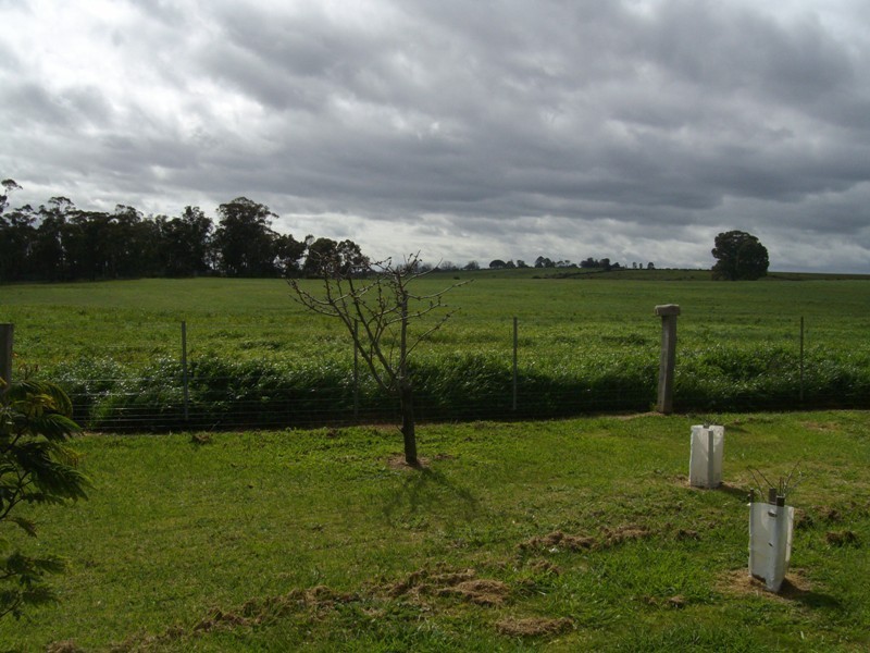 4940 Ballarat-maryborough Road, Talbot VIC 3371