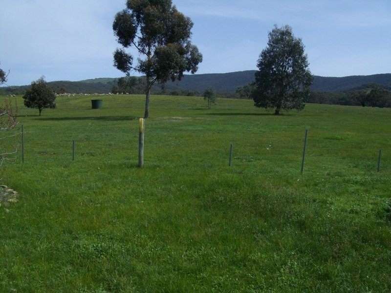 211 Andersons Road, Amphitheatre VIC 3468