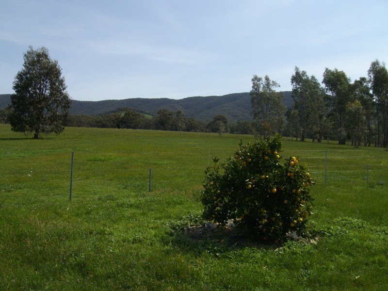 211 Andersons Road, Amphitheatre VIC 3468