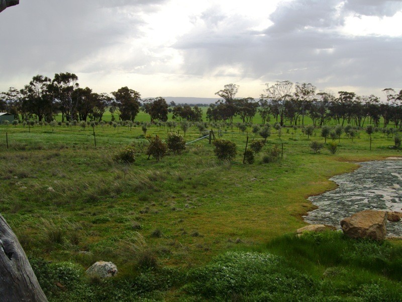 108 Cornthwaites Road, Dunluce VIC 3472