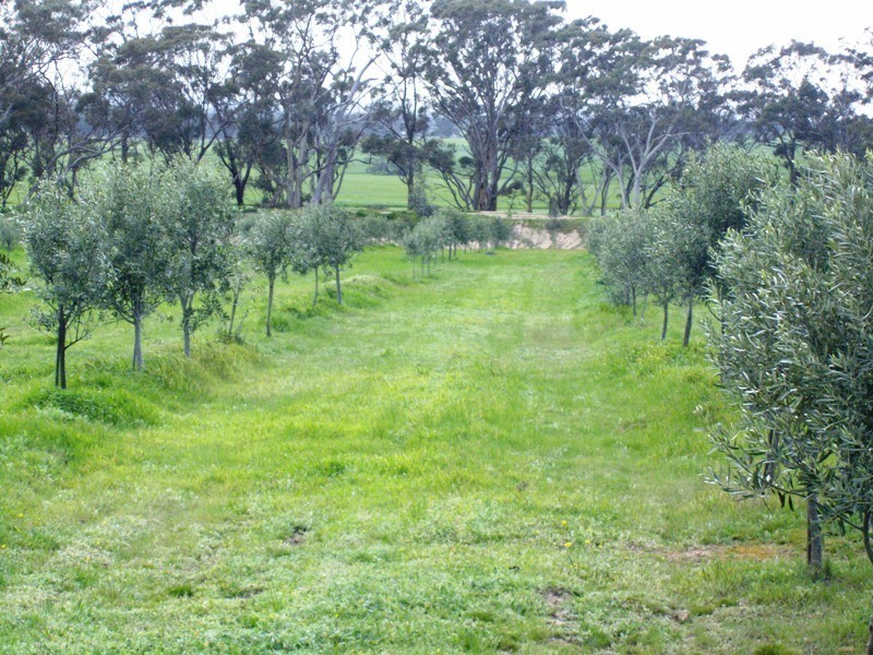 108 Cornthwaites Road, Dunluce VIC 3472