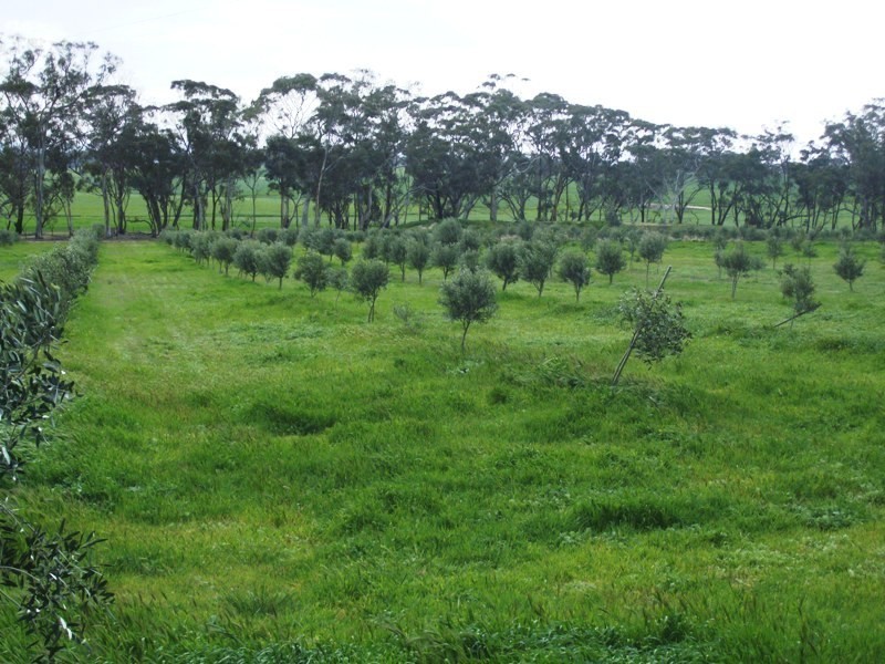 108 Cornthwaites Road, Dunluce VIC 3472