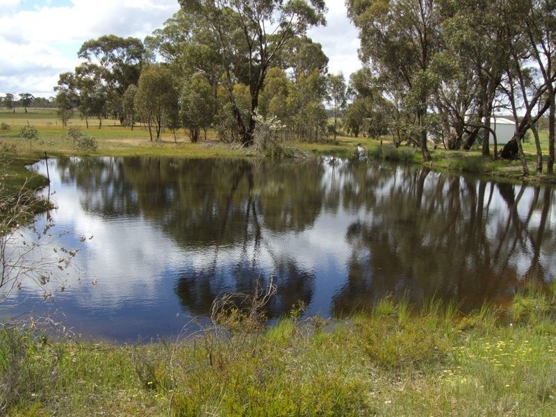 5 Shay’s Lane, Dunolly VIC 3472