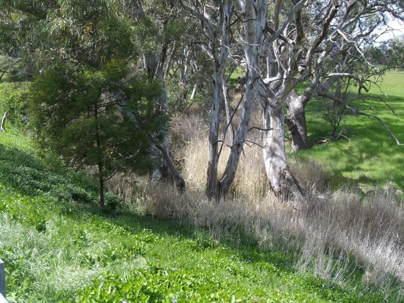 46 Simson Street, Carisbrook VIC 3464