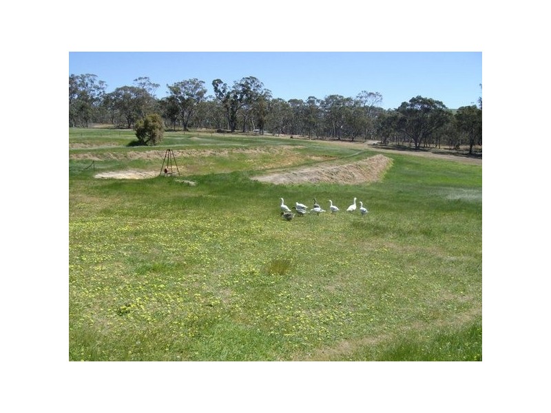 100 Cobbs Road, Talbot VIC 3371