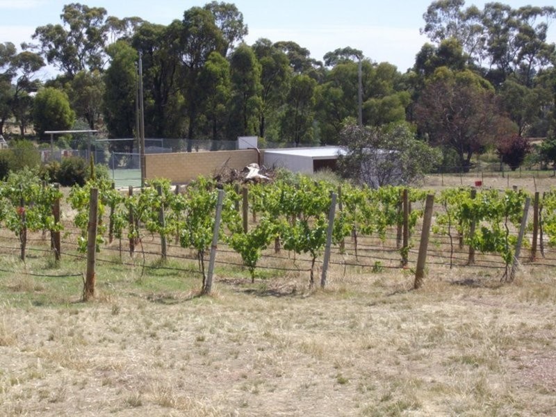 11-13  Treble Court, Maryborough VIC 3465