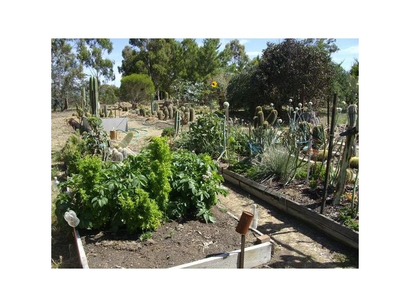 532 Clunes Road, Evansford VIC 3371