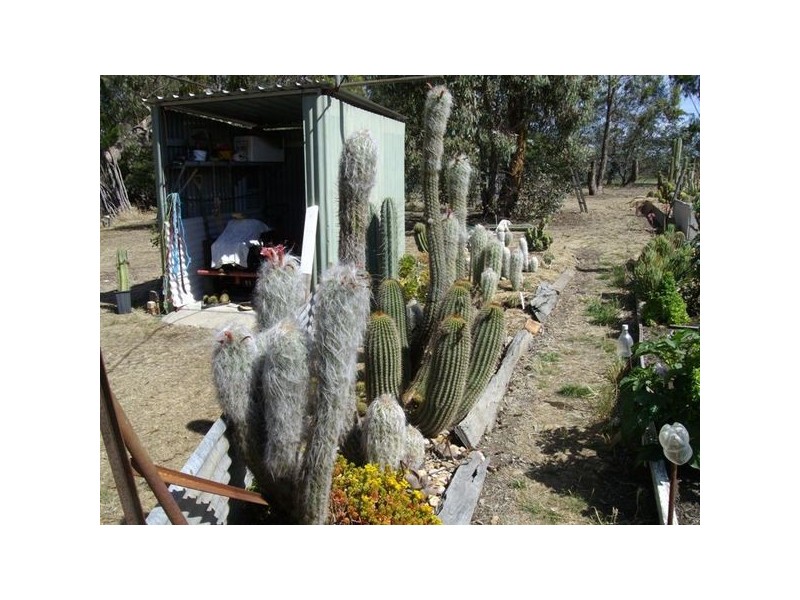 532 Clunes Road, Evansford VIC 3371