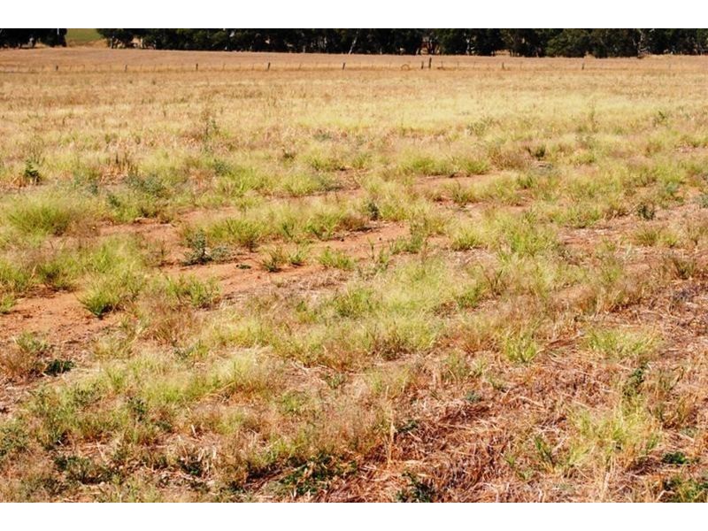 1537 St.arnaud-dunolly Road, Bealiba VIC 3475