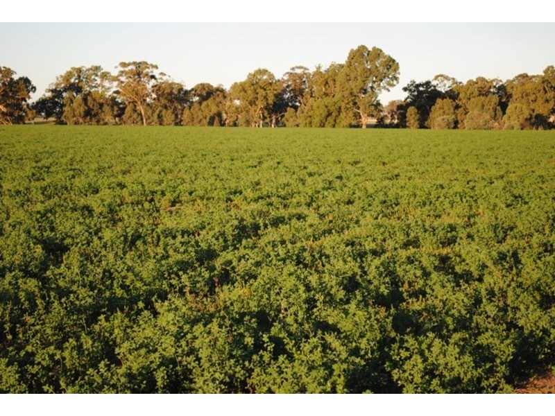 284 Timor-Bromley Road, Timor VIC 3465