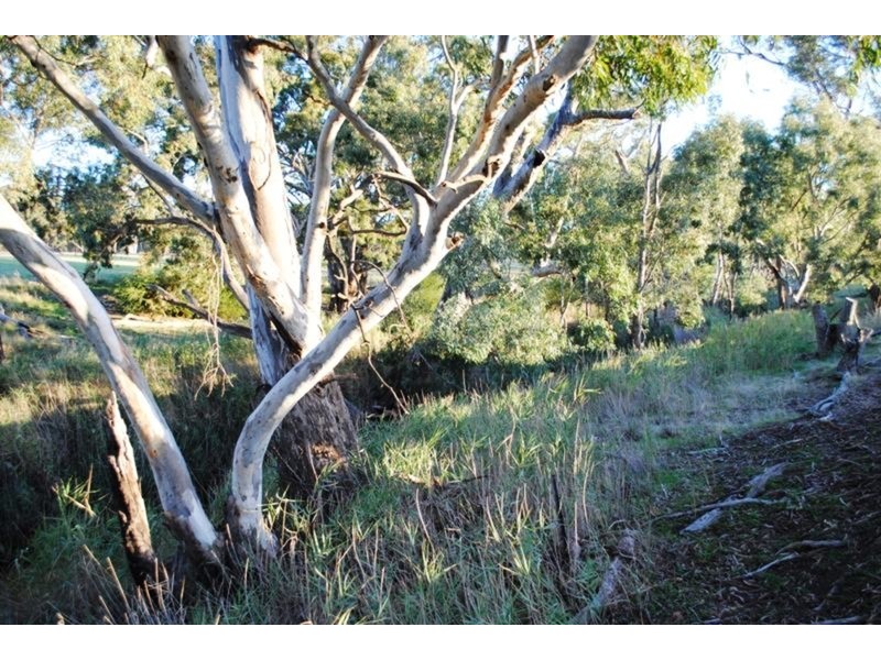 284 Timor-Bromley Road, Timor VIC 3465