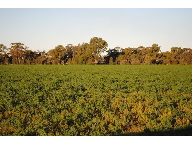 284 Timor-Bromley Road, Timor VIC 3465