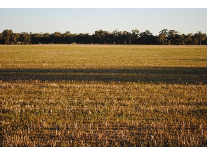 284 Timor-Bromley Road, Timor VIC 3465