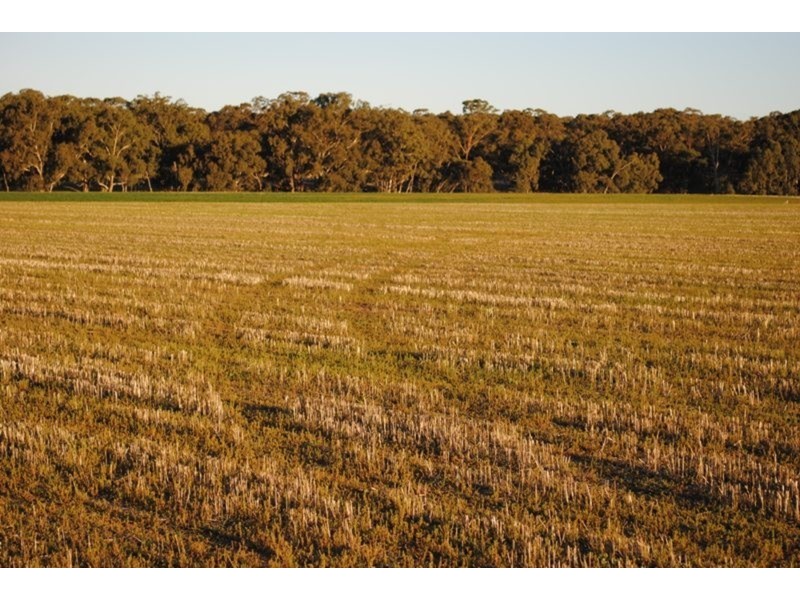 284 Timor-Bromley Road, Timor VIC 3465