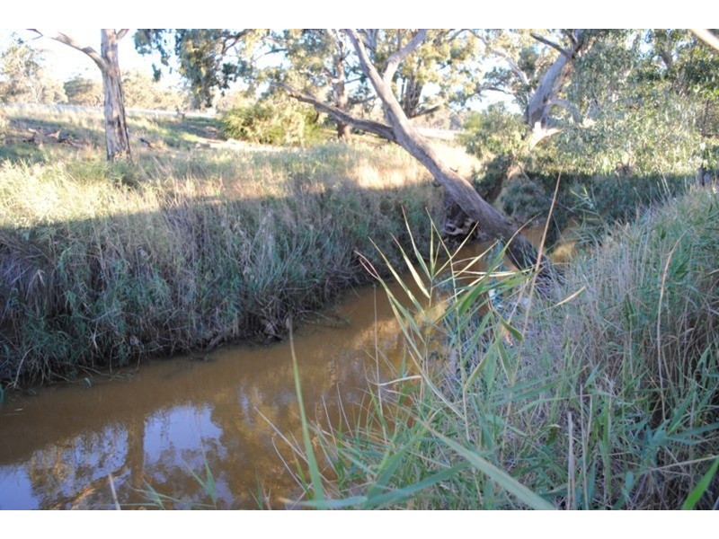 284 Timor-Bromley Road, Timor VIC 3465