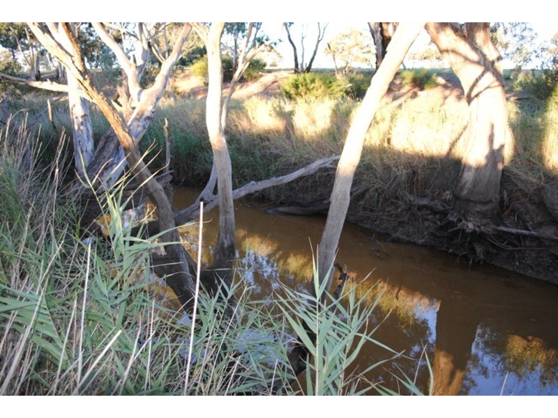 284 Timor-Bromley Road, Timor VIC 3465