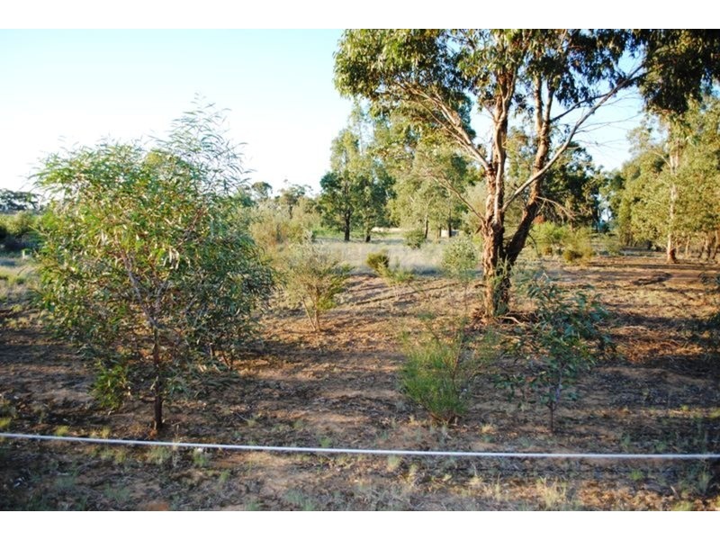 284 Timor-Bromley Road, Timor VIC 3465