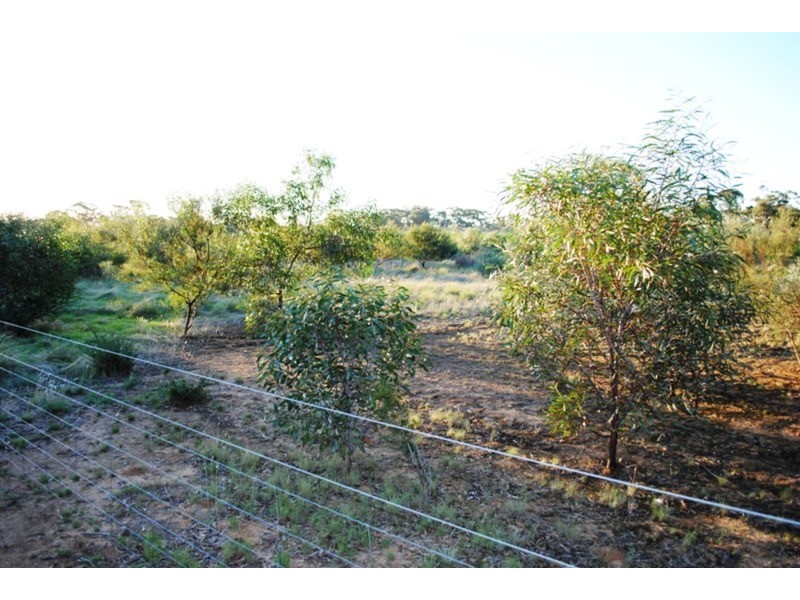 284 Timor-Bromley Road, Timor VIC 3465