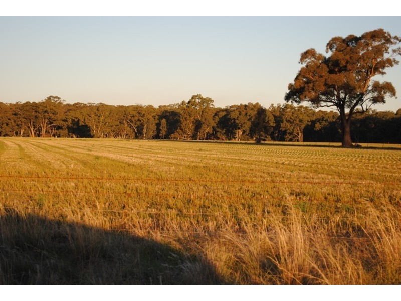 284 Timor-Bromley Road, Timor VIC 3465