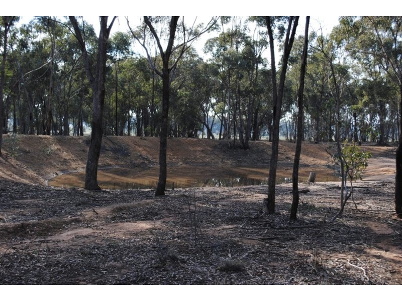 Lot 1 Box Flat Track, Bung Bong VIC 3465