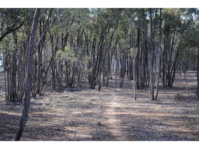 Lot 1 Box Flat Track, Bung Bong VIC 3465