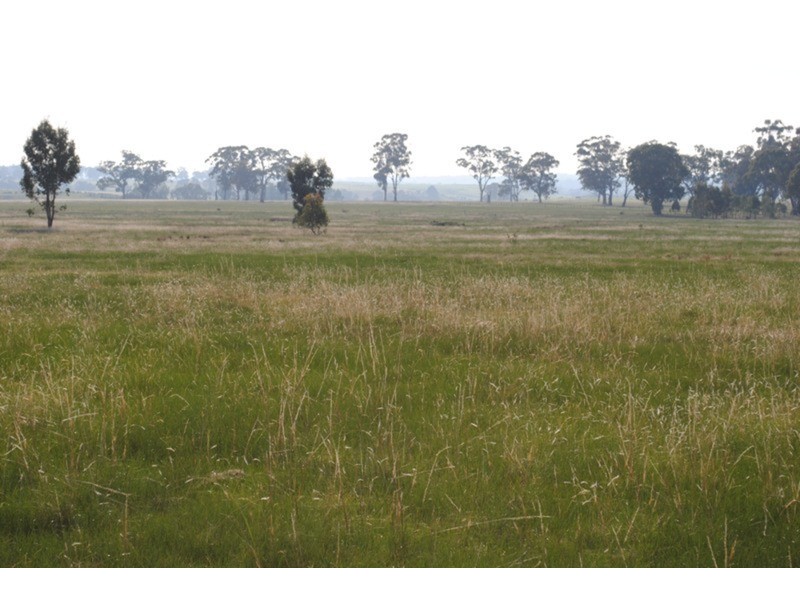 Lot 1 Box Flat Track, Bung Bong VIC 3465