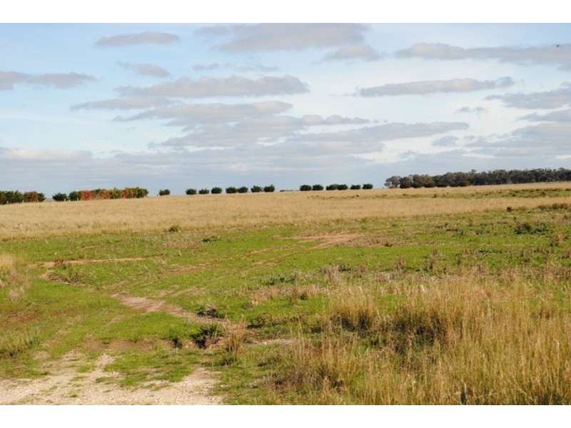 Lot 1 & 2 Wareek-homebush Road, Wareek VIC 3465