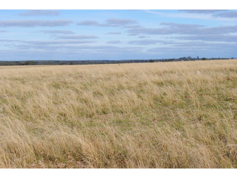 Lot 1 & 2 Wareek-homebush Road, Wareek VIC 3465