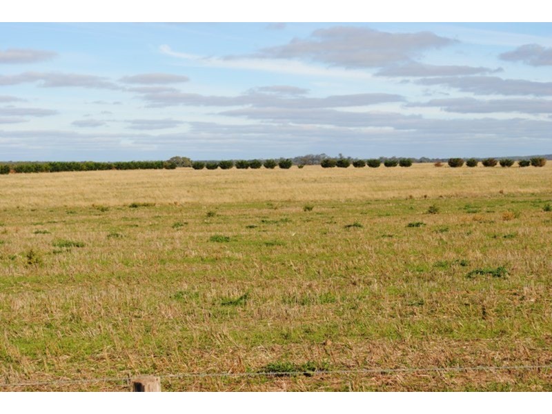 Lot 1 & 2 Wareek-homebush Road, Wareek VIC 3465