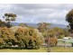 60 Rutherford Street, Avoca VIC 3467