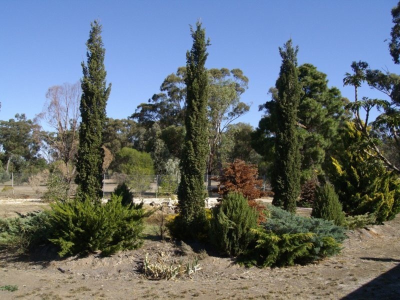 25 Rowles Drive, Maryborough VIC 3465