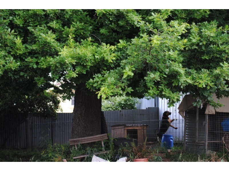 76 Kars Street, Maryborough VIC 3465